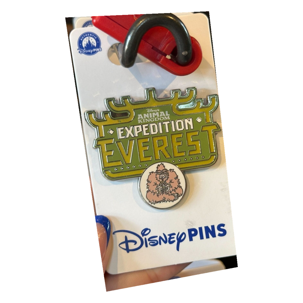 Expedition Everest — Green Sign Dangle