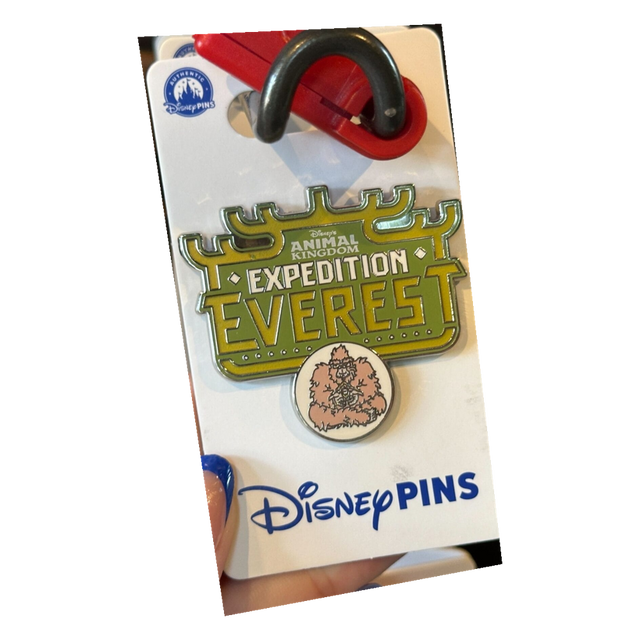 Expedition Everest — Green Sign Dangle